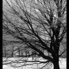 IMG_7086