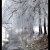 FotoBlog - 20110130 - Ein wunderschöner Wintertag