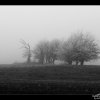 IMG_7133_bw