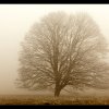 IMG_7136_version
