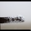 IMG_7151