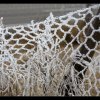 IMG_7177