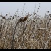 IMG_7180