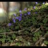 IMG_7319