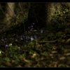 IMG_7322