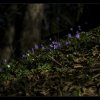 20110325 - Ausflug