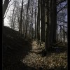 IMG_7331