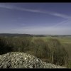 IMG_7337
