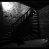 IMG_7355