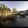 IMG_7421