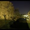 IMG_7470