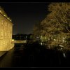 IMG_7482