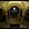 IMG_7496
