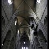 IMG_7502