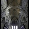 IMG_7504