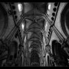 IMG_7832