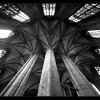 IMG_7845