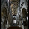 IMG_7855