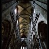 IMG_7859