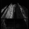 IMG_7890_bw