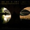 IMG_7903