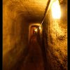 IMG_7924