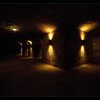 IMG_7930