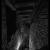 IMG_7934_bw