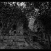 IMG_8131_bw