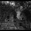 IMG_8132_bw