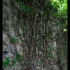 IMG_8162