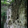 IMG_8163