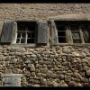 IMG_8195