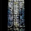 IMG_8228