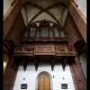 IMG_8235