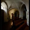 IMG_8245