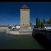 IMG_8264
