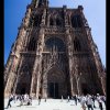 IMG_8287