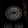 IMG_8292