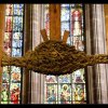 IMG_8308
