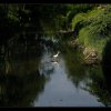IMG_8340