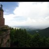 IMG_8385