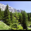IMG_8453