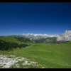 IMG_8478