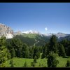 IMG_8481