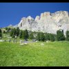 IMG_8485