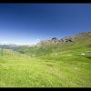 IMG_8486