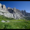 IMG_8502
