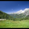 IMG_8562