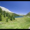 IMG_8567